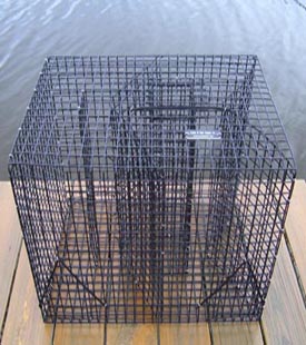 Fish Traps For Trapping Live Bait Fish, Spot/Pinfish Traps, Perch